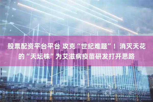 股票配资平台平台 攻克“世纪难题”！消灭天花的“天坛株”为艾滋病疫苗研发打开思路